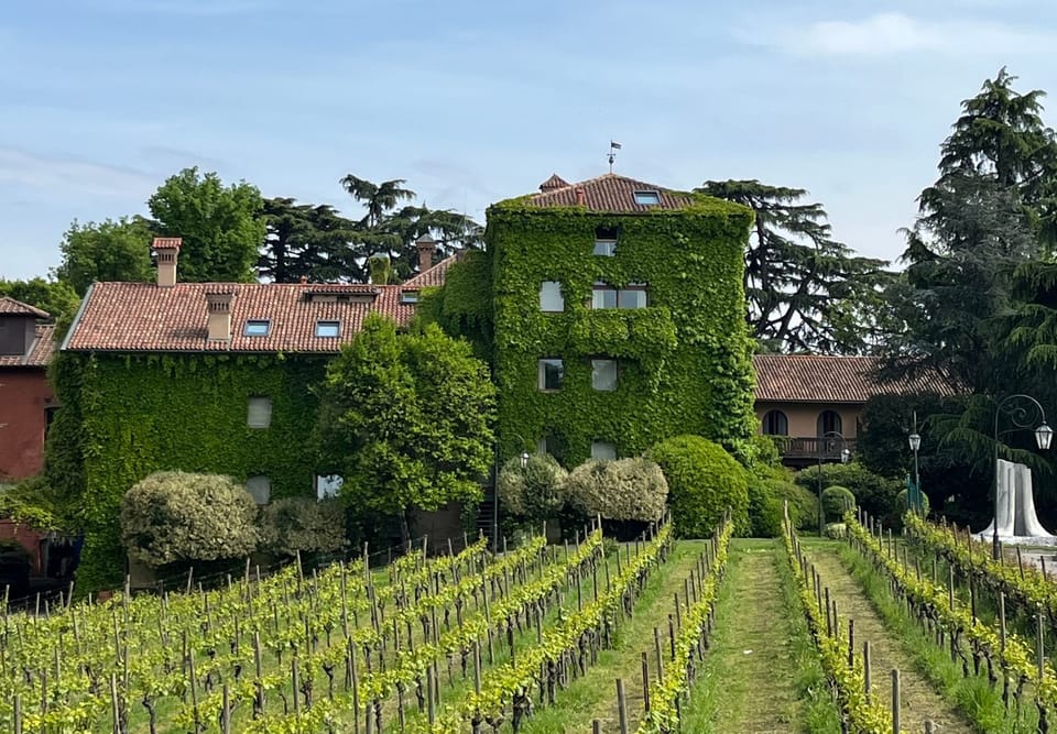 L'Albereta Relais Chateaux y sus famosos viñedos